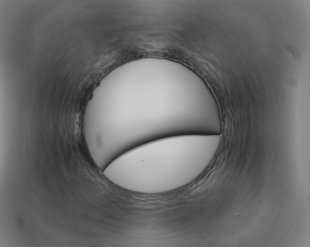 X0000114191156200910091022