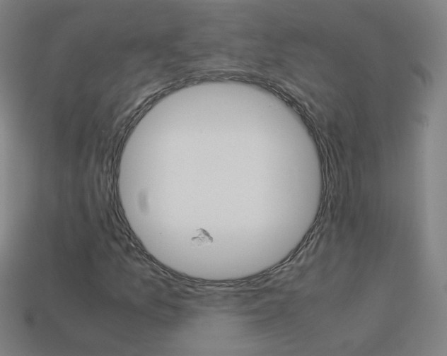 X0000114191157200910091022