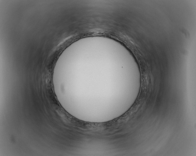X0000114191158200910091022