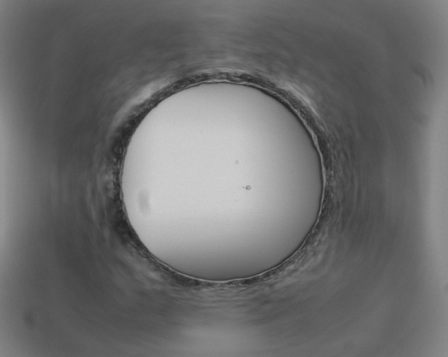 X0000114191159200910091022