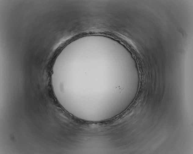 X0000114191160200910091022