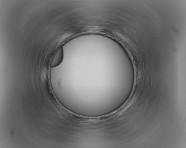 X0000114191161200910091022