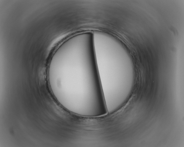 X0000114191164200910091022