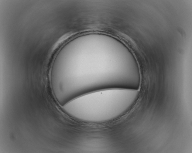 X0000114191168200910091022