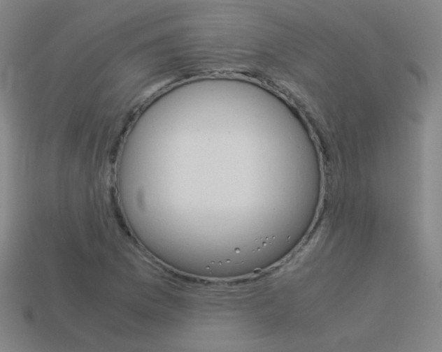 X0000114191169200910091022