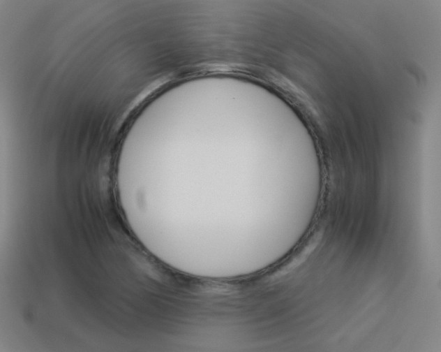 X0000114191170200910091022