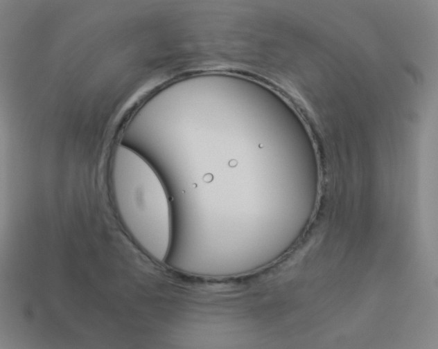 X0000114191173200910091022