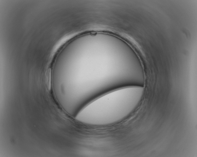 X0000114191175200910091022
