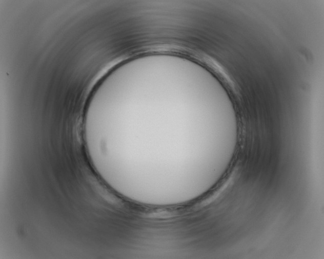 X0000114191178200910091022