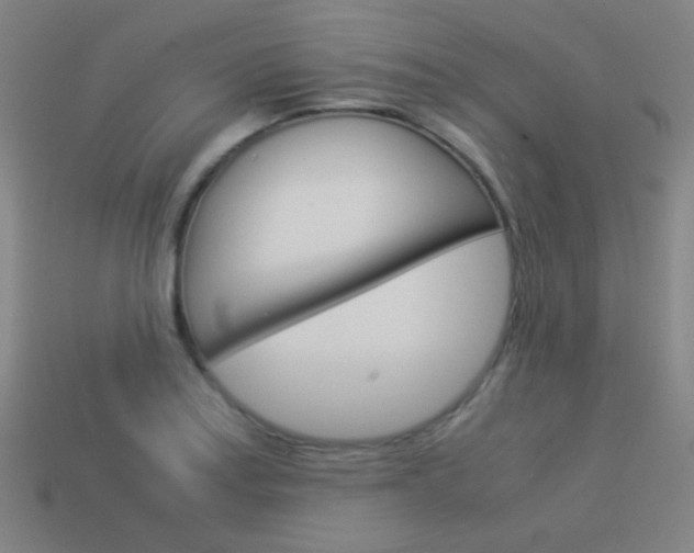 X0000114191179200910091022