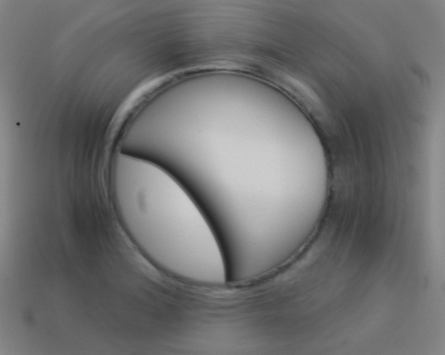 X0000114191180200910091022