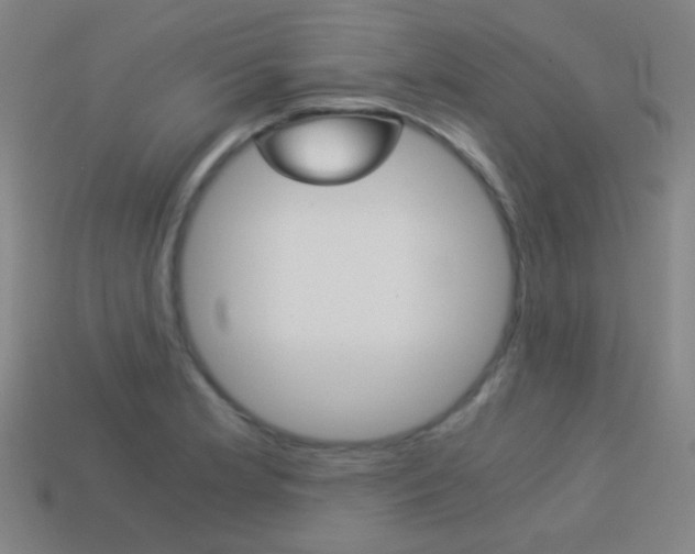X0000114191181200910091022