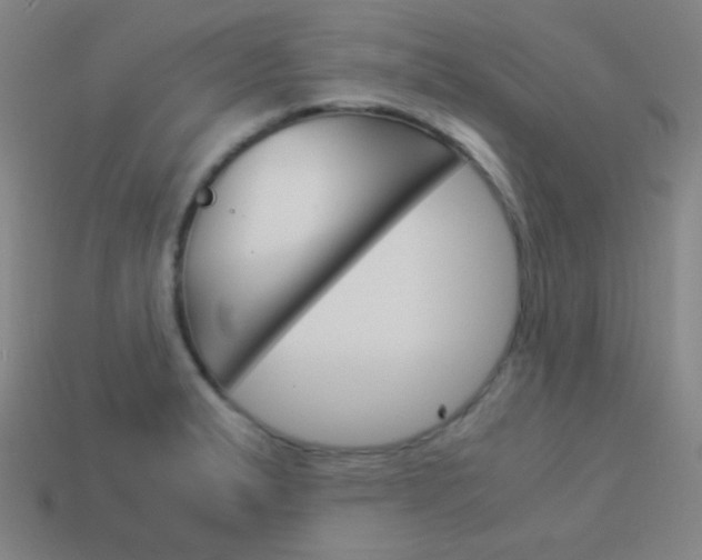 X0000114191183200910091022