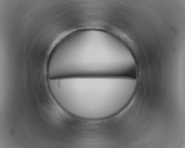 X0000114191184200910091022