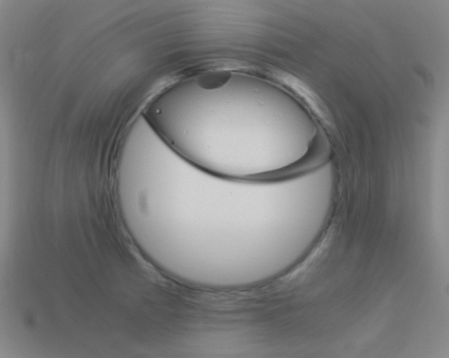 X0000114191185200910091022