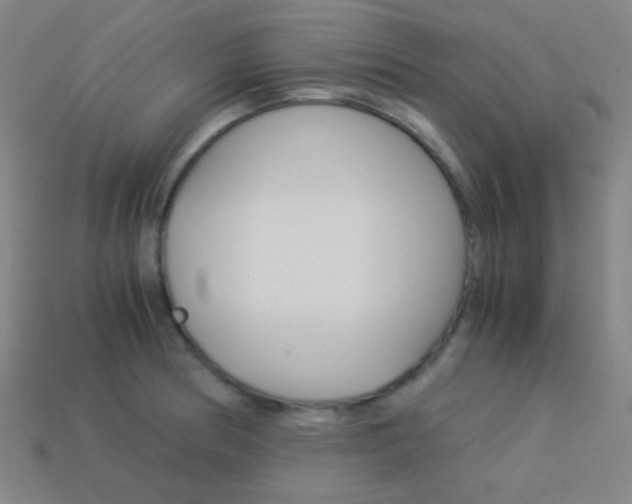 X0000114191186200910091022