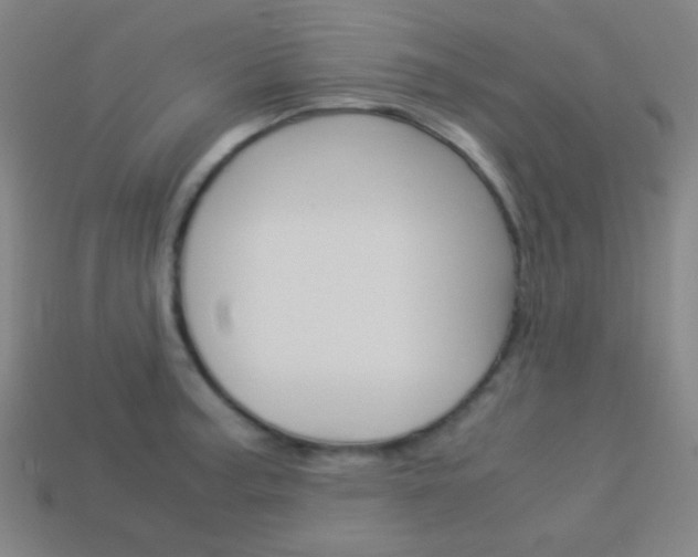 X0000114191187200910091022