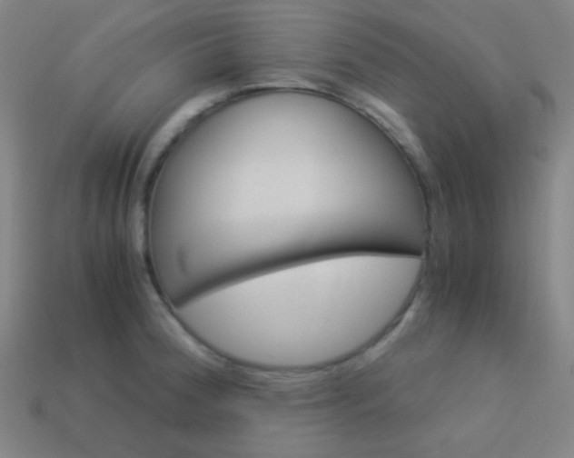 X0000114191188200910091022