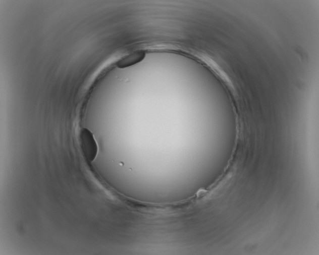 X0000114191189200910091022