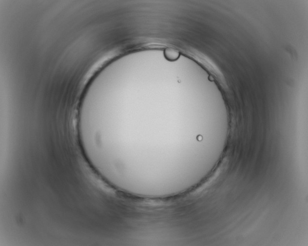 X0000114191190200910091022