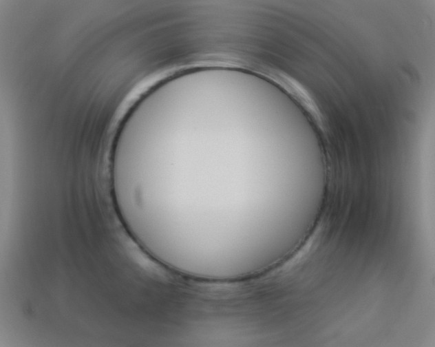 X0000114191192200910091022