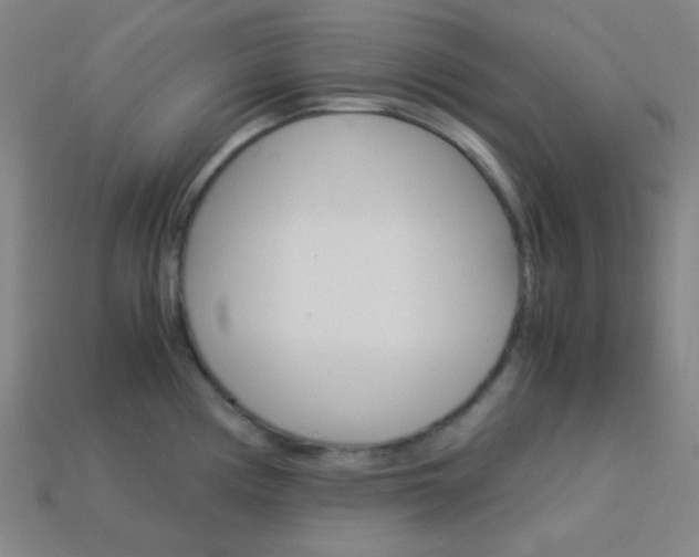 X0000114191194200910091022