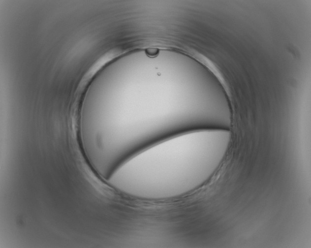 X0000114191195200910091022