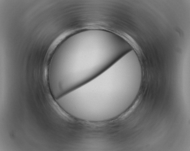 X0000114191196200910091022