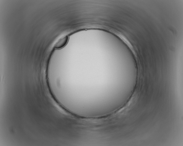 X0000114191197200910091022