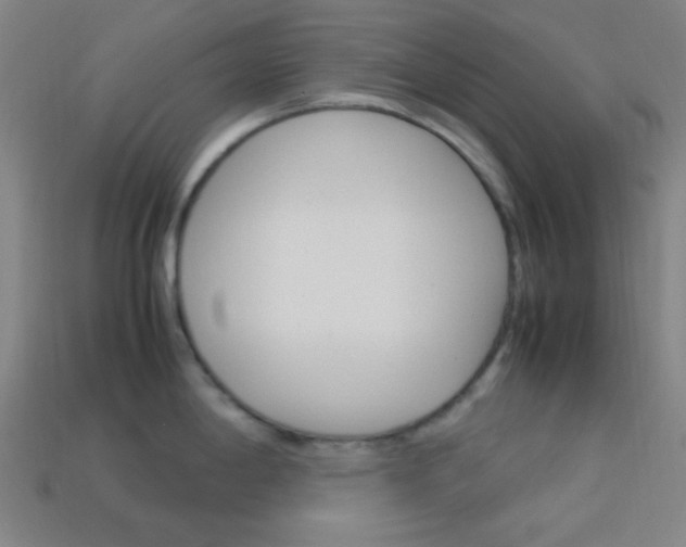 X0000114191198200910091022
