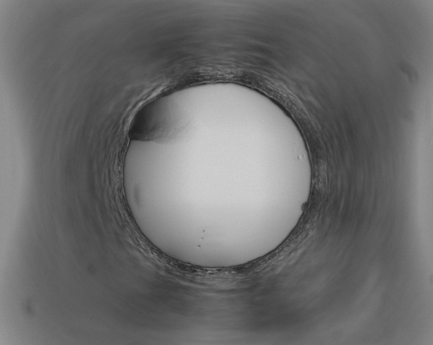 X0000114191201200910091021