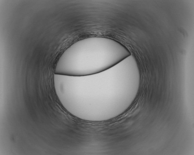 X0000114191202200910091021