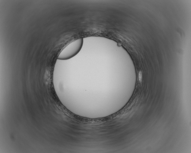 X0000114191203200910091021