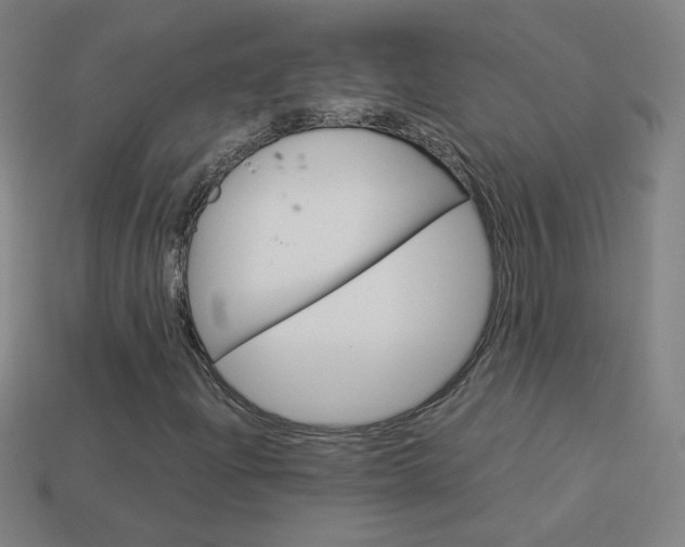 X0000114191204200910091021