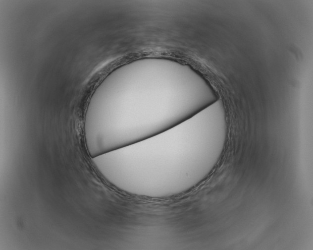 X0000114191206200910091021