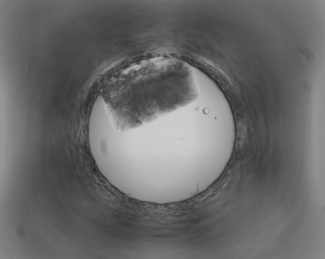 X0000114191207200910091021