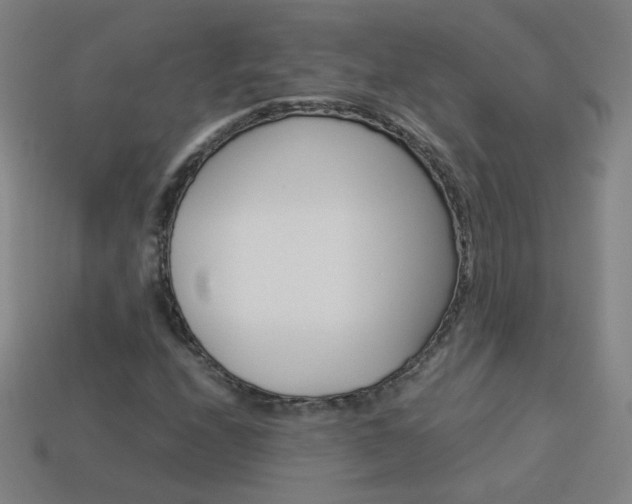 X0000114191208200910091021