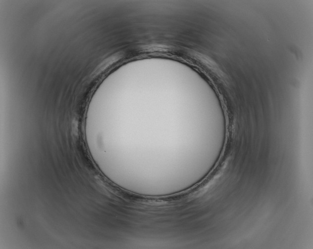 X0000114191209200910091021