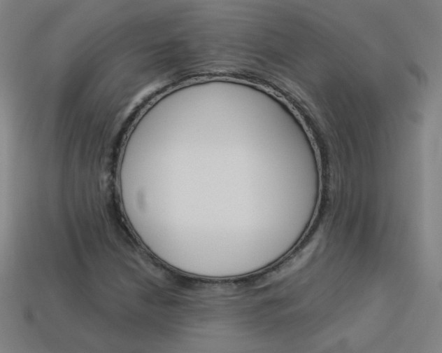 X0000114191210200910091021
