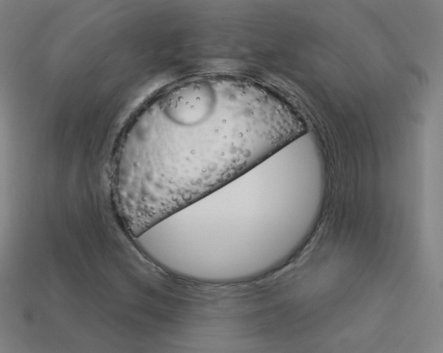 X0000114191212200910091021