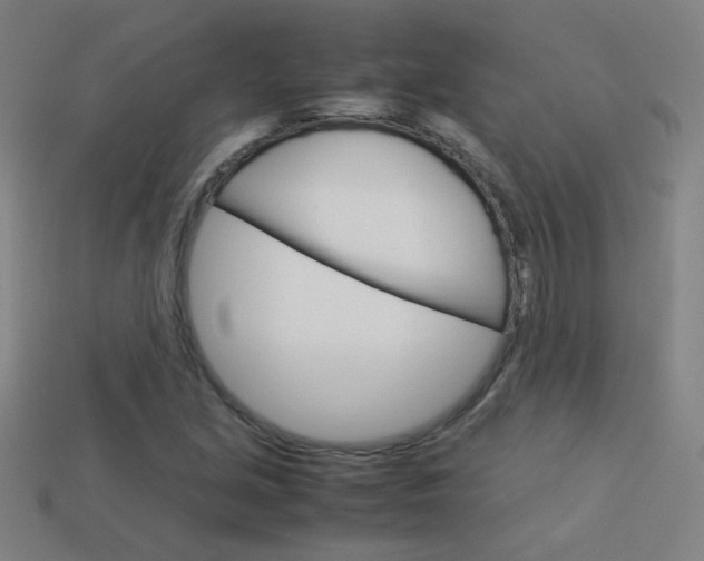 X0000114191213200910091021