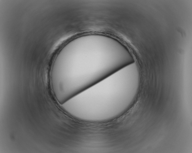 X0000114191214200910091021