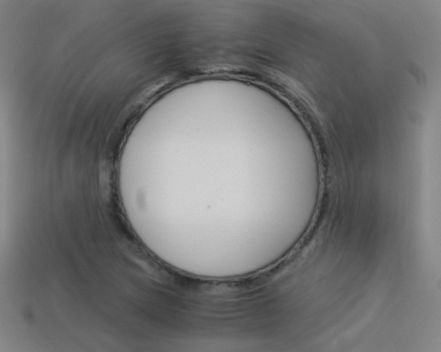 X0000114191217200910091021