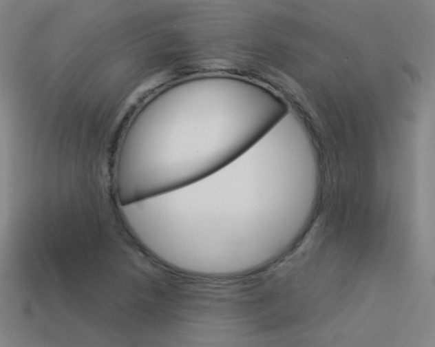 X0000114191218200910091021