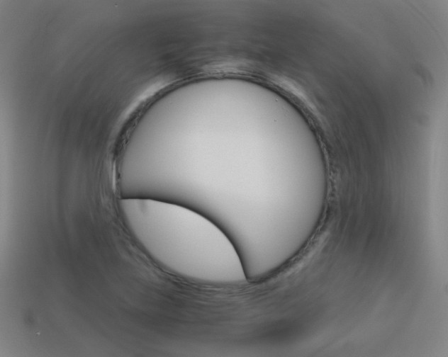 X0000114191219200910091021