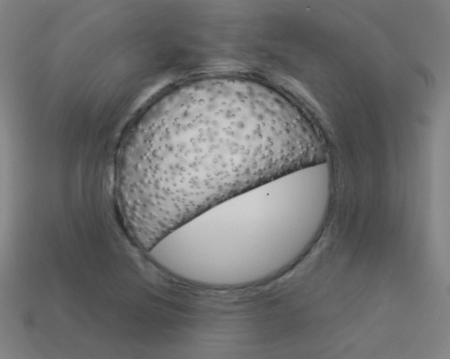 X0000114191220200910091021