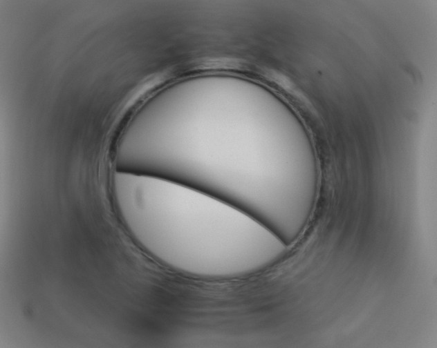 X0000114191221200910091021