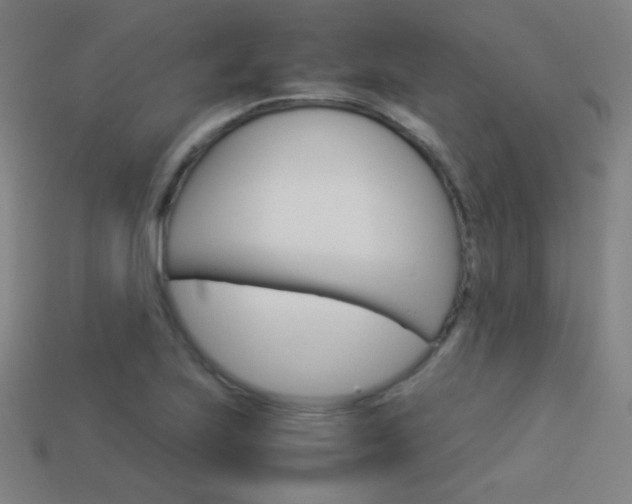 X0000114191223200910091021