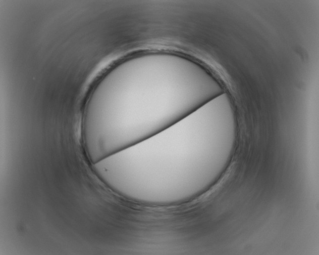 X0000114191224200910091021