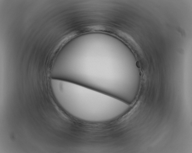 X0000114191225200910091021